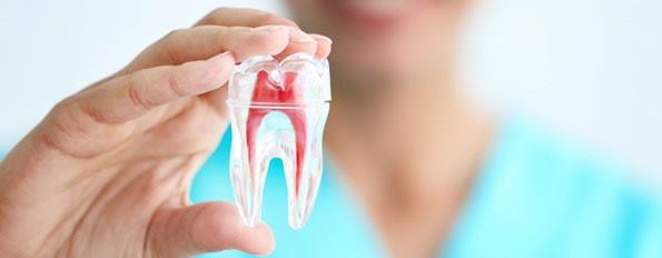 ortodoncista_muela_dentista